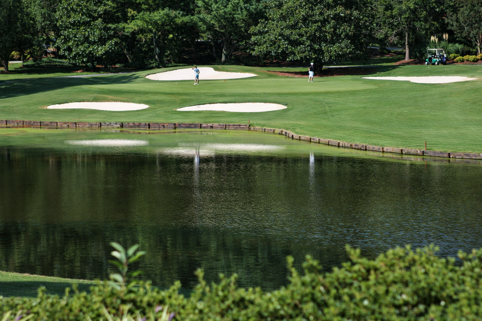 National Senior Amateur Hall of Fame Golf Tournament: Celebrating 42 Years of Championship Golf & Donald Ross Tradition