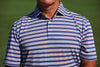 Man wearing a blue and white striped short-sleeve polo shirt against a green background.