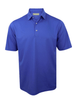 Royal blue short-sleeve polo shirt with a spread collar and mother-of-pearl buttons.