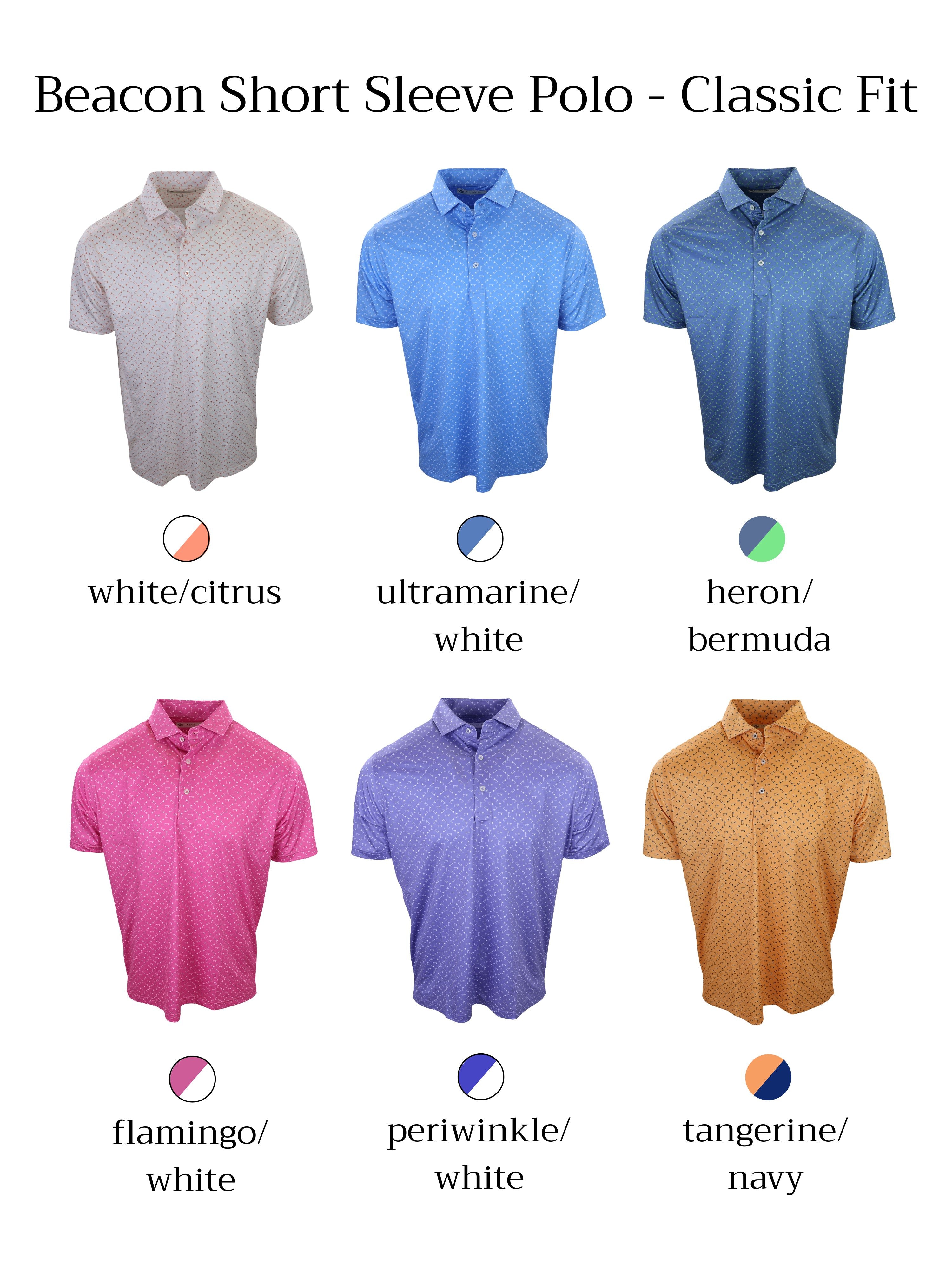 Six short sleeve polo shirts in various colors and patterns are displayed, with each shirt labeled beneath in corresponding hues.