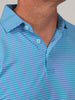 Close-up of a person wearing a blue and white striped polo shirt. The shirt has a neatly folded collar and buttons, creating a casual and relaxed look.