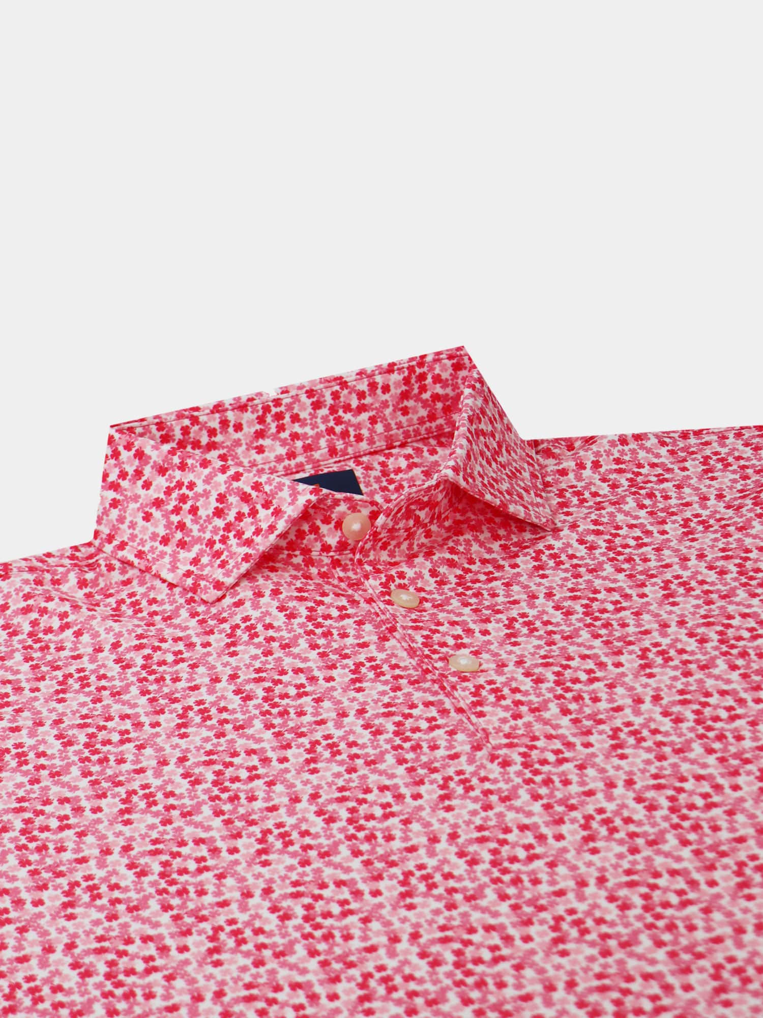 Harry Polo - Sport Fit